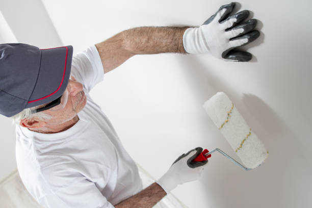 Best Mold Documentation for Insurance Claims  in Englewood, TN