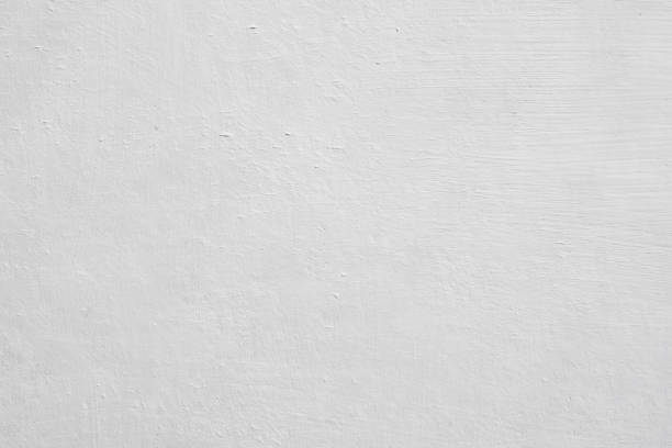 Environmental Consulting for Mold Prevention in Englewood, TN