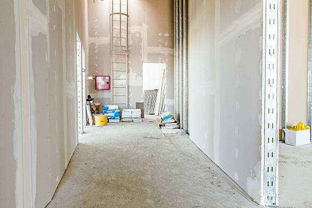 Best Mold Damage Restoration  in Englewood, TN