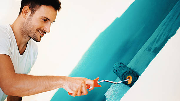 Reliable Englewood, TN Mold Removal Solutions