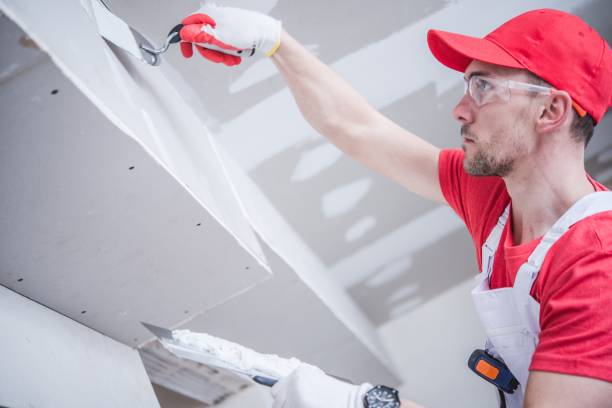 Best Mold Prevention Services  in Englewood, TN